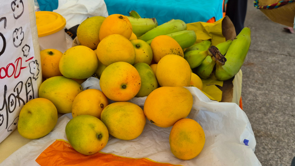Nuevo Farmer Market este viernes con mango, coco y productos orgánicos de la temporada