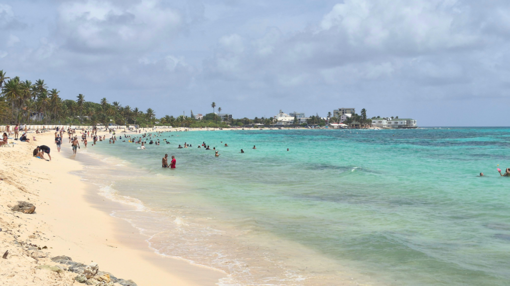 De Raíces a Mareas fortalece el diálogo por los ecosistemas marinos en San Andrés