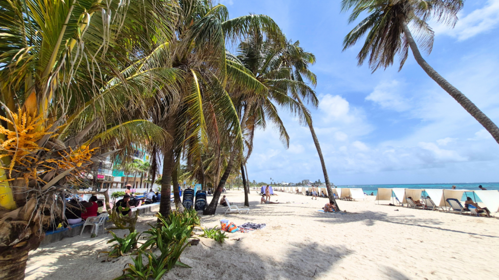 Comenzó la convocatoria de Island Biz 2026