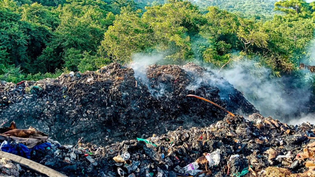 Procuraduría inicia seguimiento preventivo por contingencia ambiental en Magic Garden